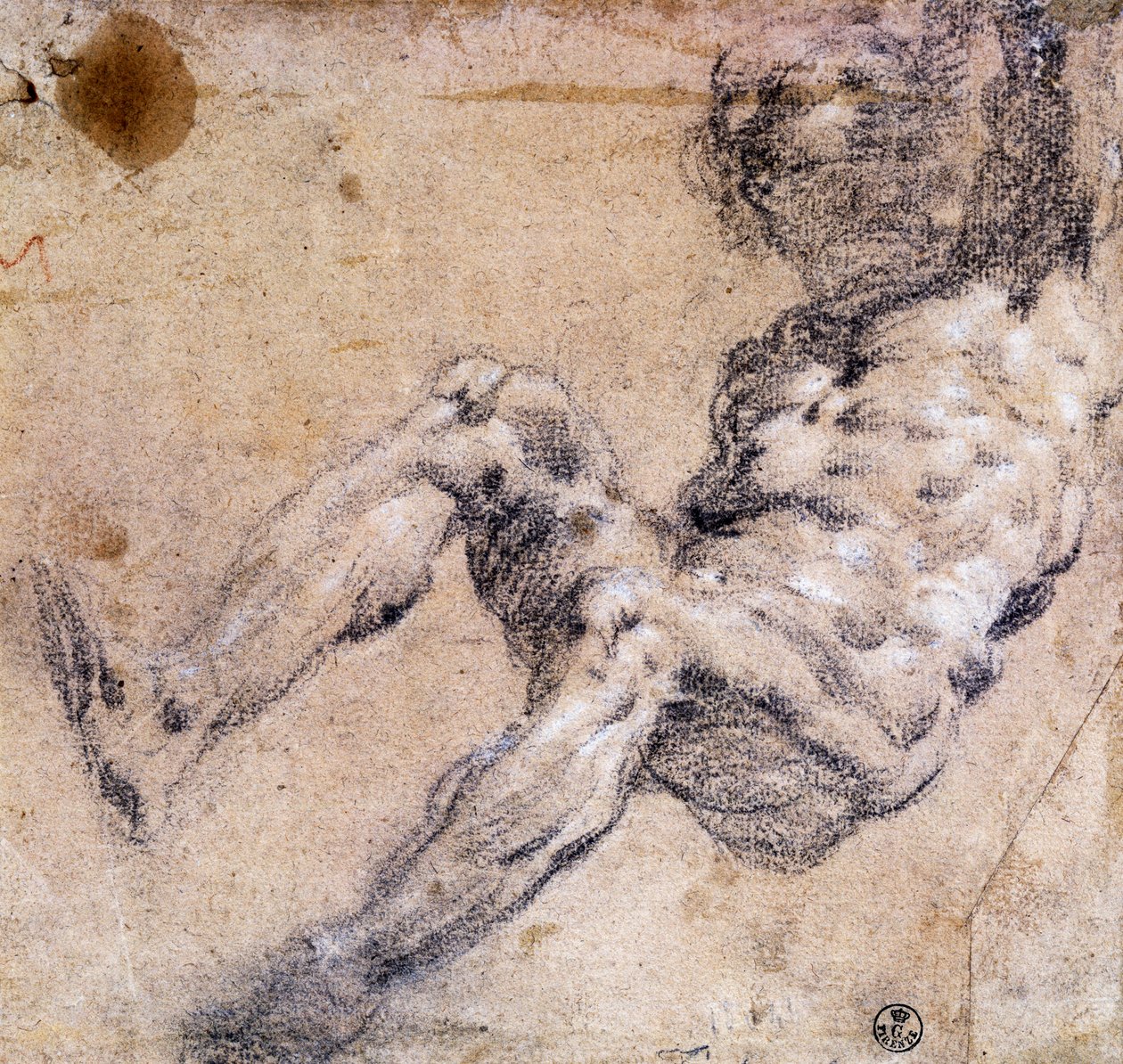 Studio di nudo maschile da Jacopo Robusti Tintoretto