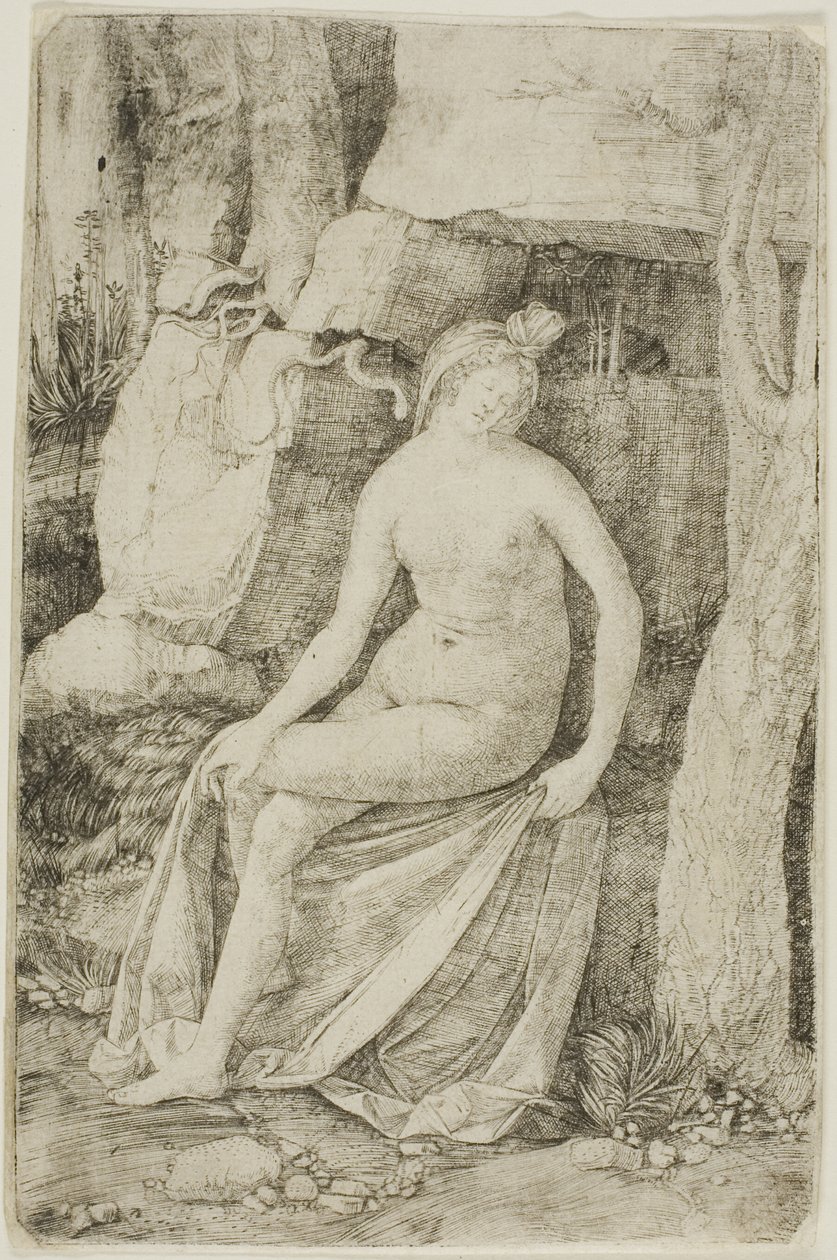 Cleopatra da Jacopo de