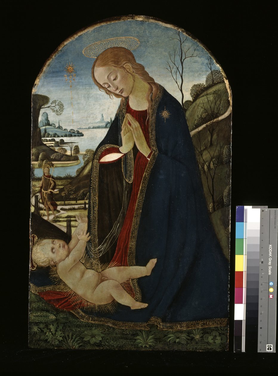 Madonna che adora il Bambino Gesù da Jacopo del Sellaio