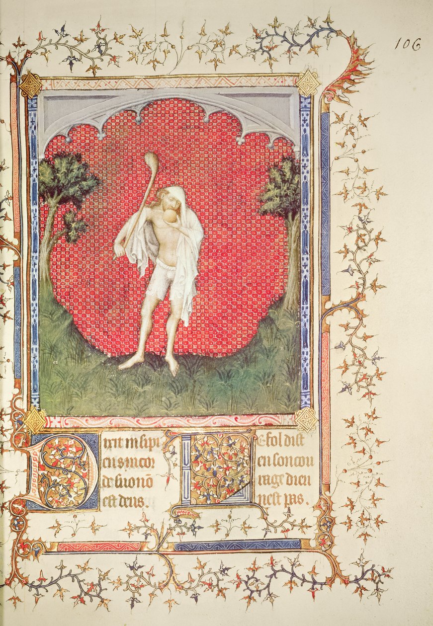 Fr 13091 f.106 Il folle, dal 