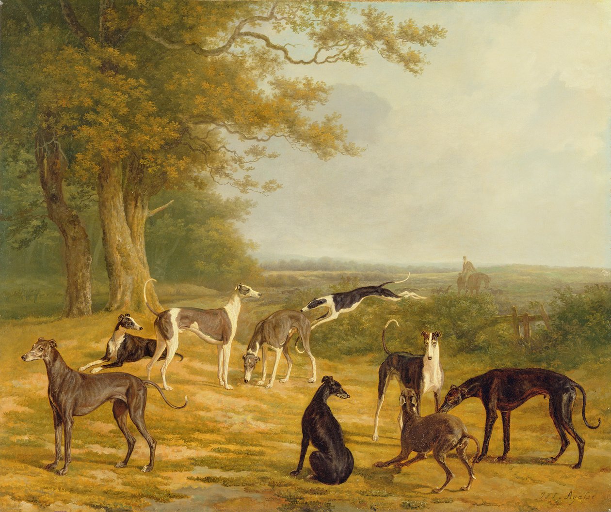 Nove levrieri in un paesaggio da Jacques Laurent Agasse