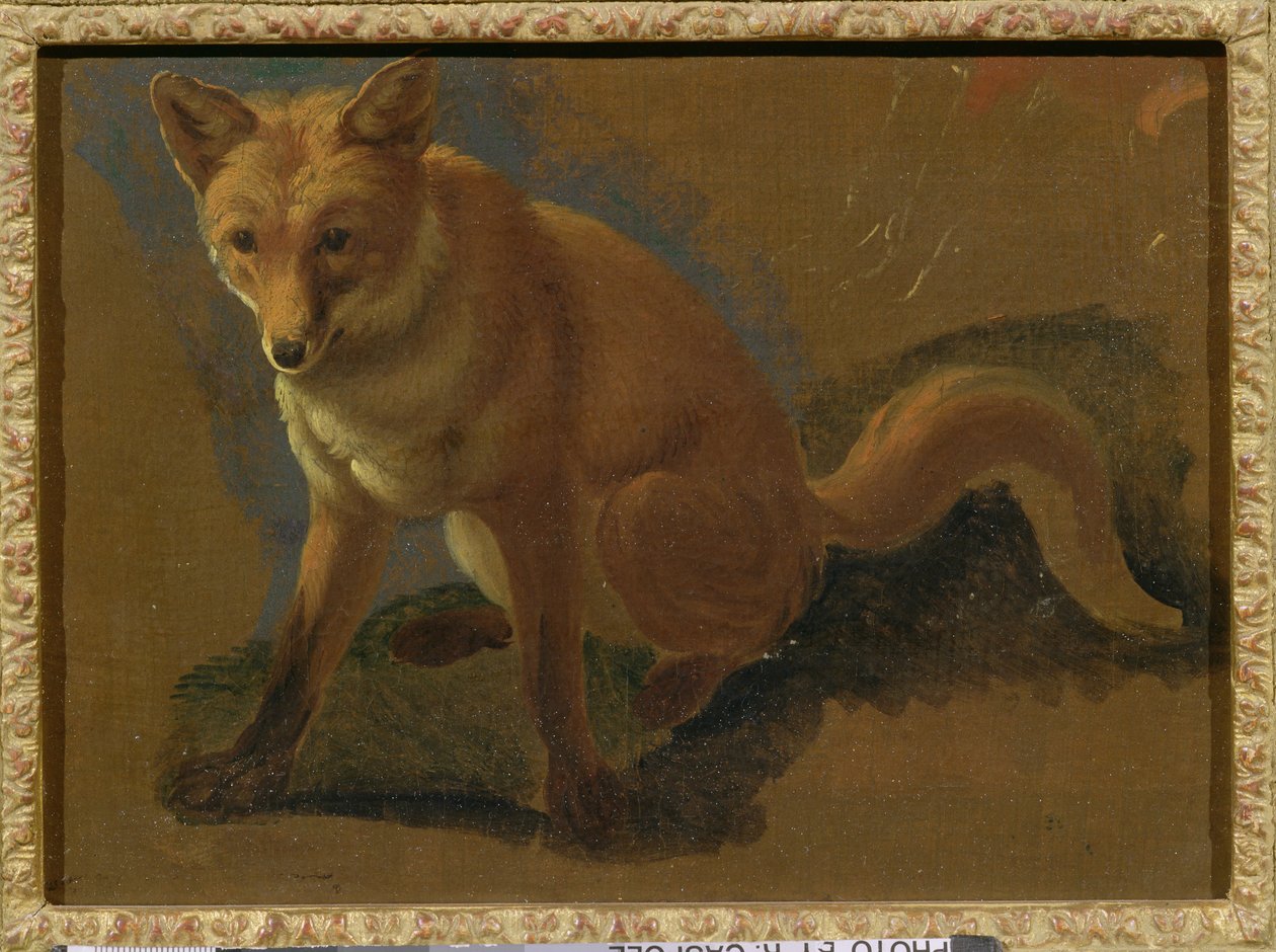 Studio di una volpe da Jacques Laurent Agasse