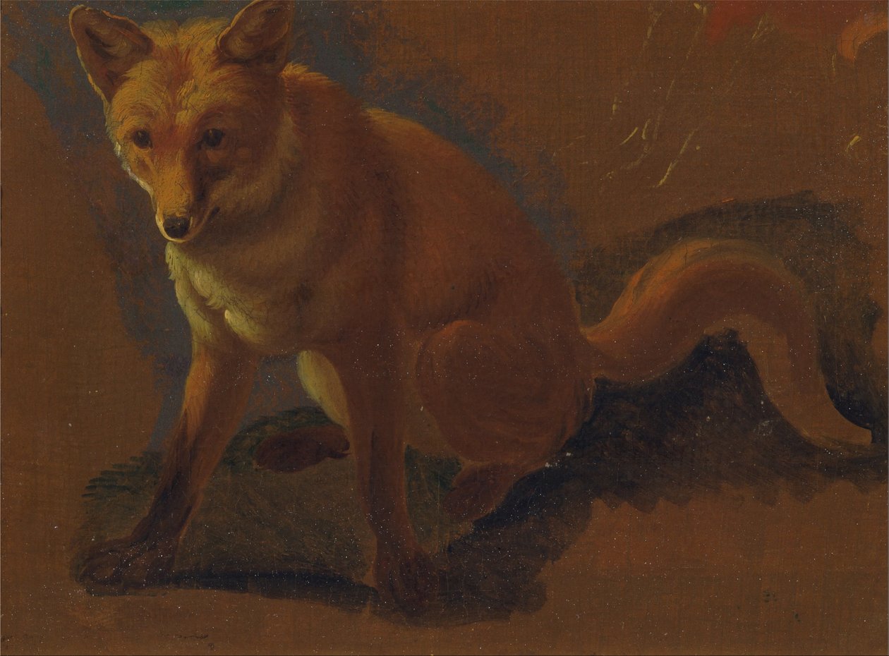 Studio di una Volpe da Jacques Laurent Agasse