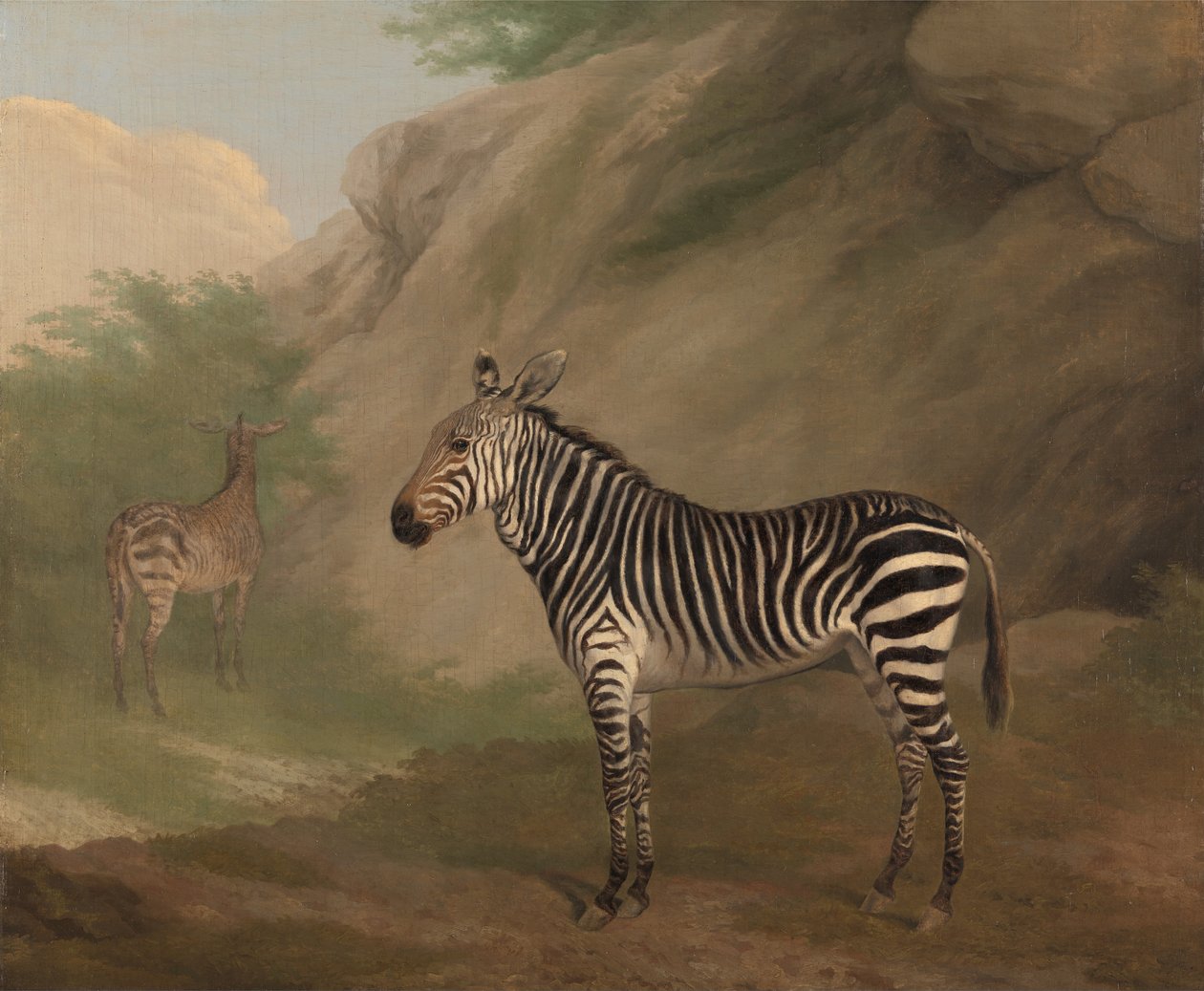 Zebra da Jacques Laurent Agasse