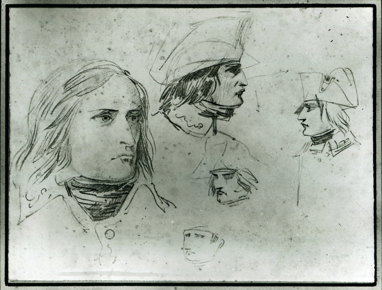 Schizzi di Napoleone Bonaparte da Jacques Louis David
