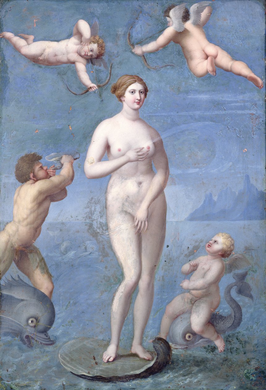 Venere, 1640 da Jacques Stella
