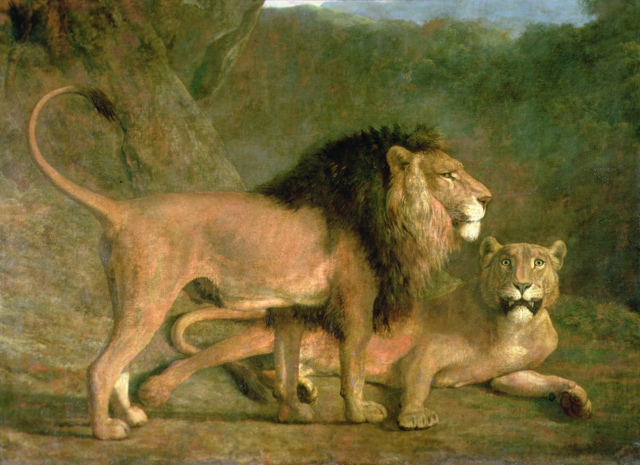 Un leone e una leonessa in una valle rocciosa da Jacques-Laurent Agasse