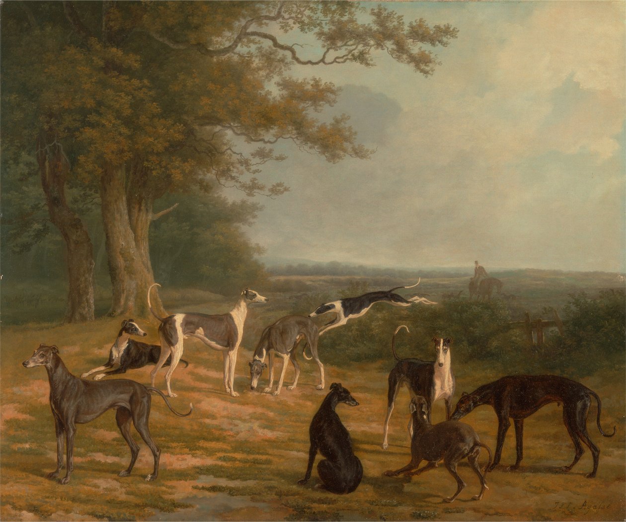 Nove levrieri in un paesaggio da Jacques-Laurent Agasse