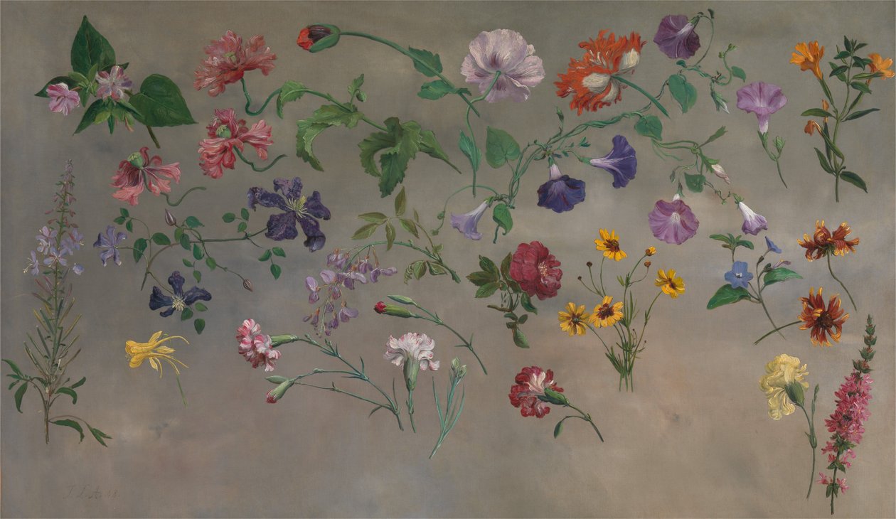Studi di fiori [1985, Cormack, YCBA Concise Catalogue] da Jacques-Laurent Agasse