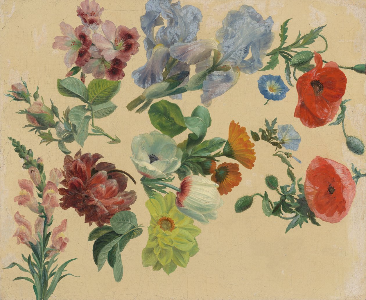 Studi sui fiori estivi da Jacques-Laurent Agasse