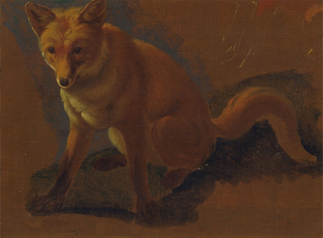 Studio di una volpe da Jacques-Laurent Agasse