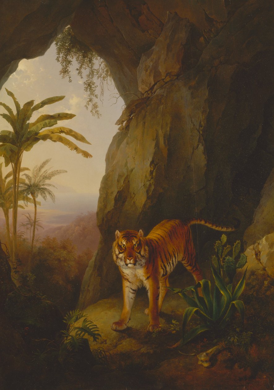 Tigre in una caverna da Jacques-Laurent Agasse