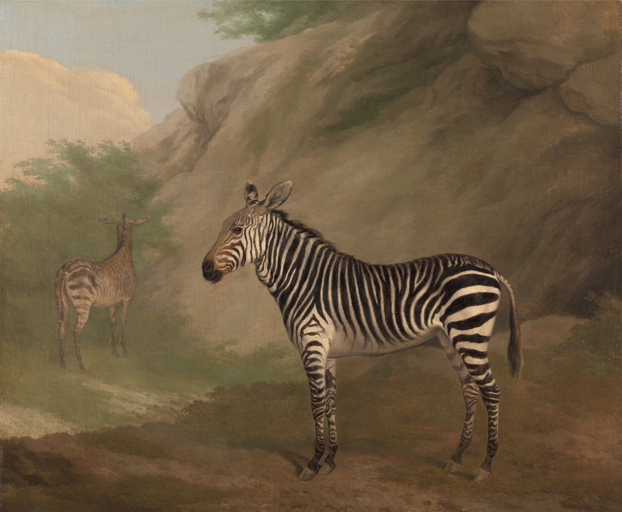 Zebra da Jacques-Laurent Agasse