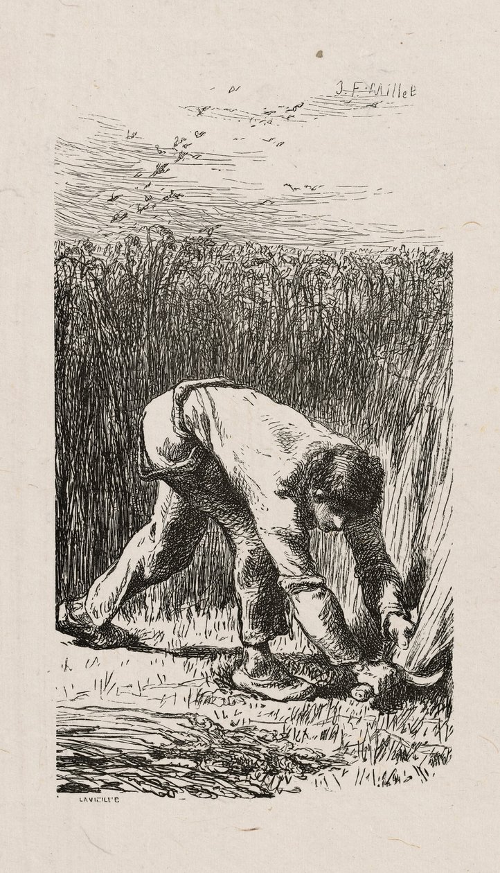 Mietitore da Jacques Adrien Lavieille