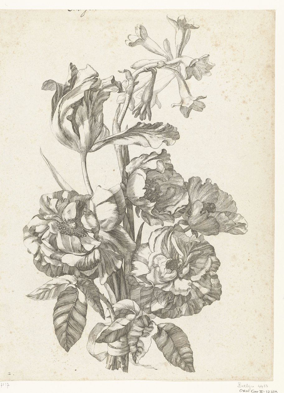 Bouquet con peonie, un tulipano e una brodiaea da Jacques Bailly (I)