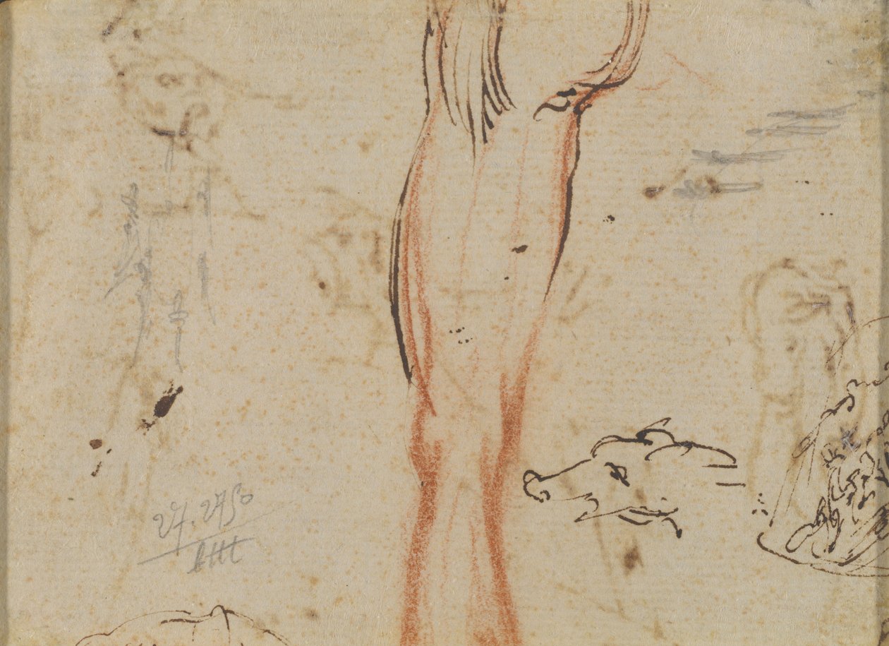 Una gamba e una testa di maiale da Jacques Callot