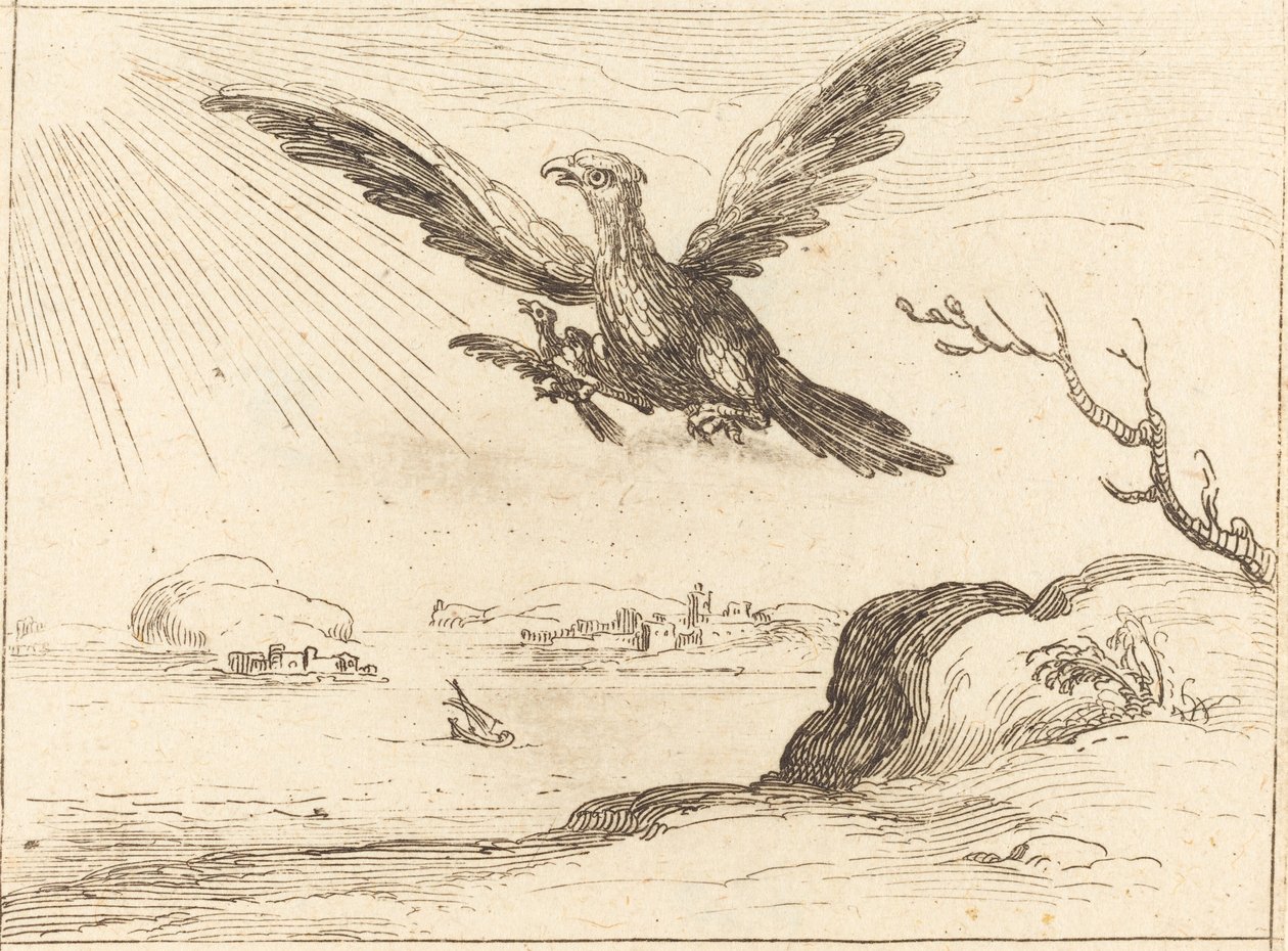Aquila e giovani da Jacques Callot