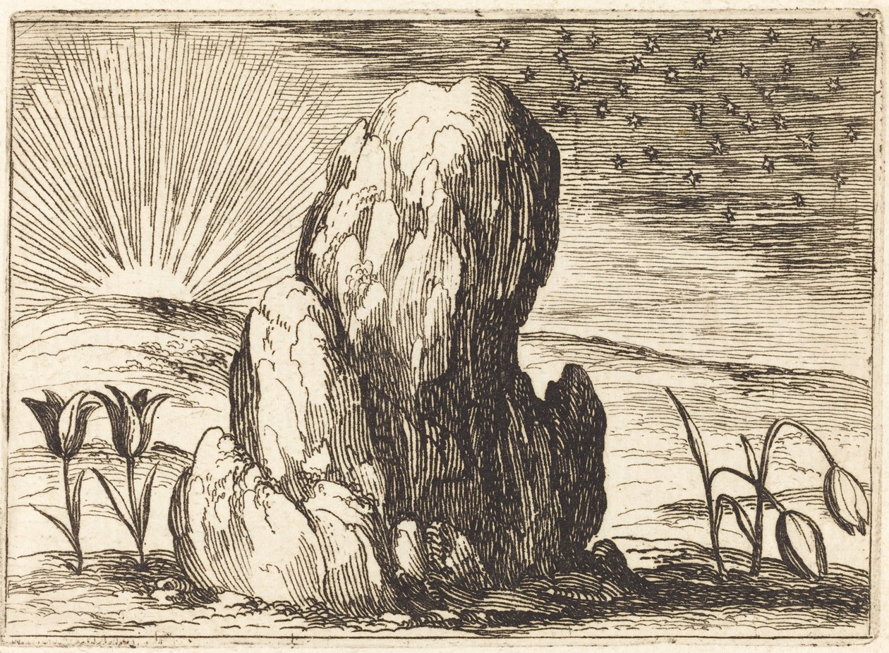 I tulipani e il sole da Jacques Callot