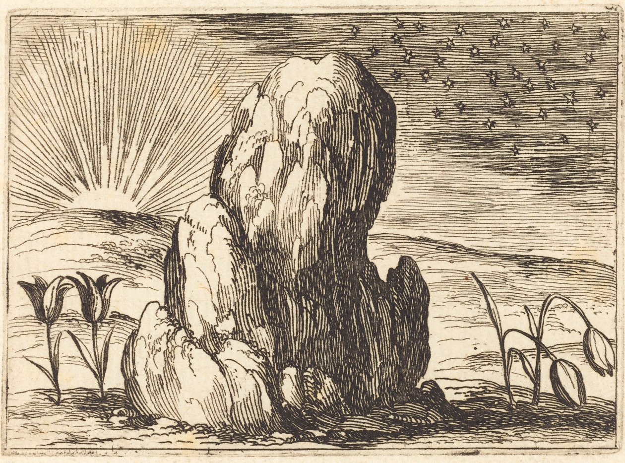 I tulipani e il sole, 1628 da Jacques Callot