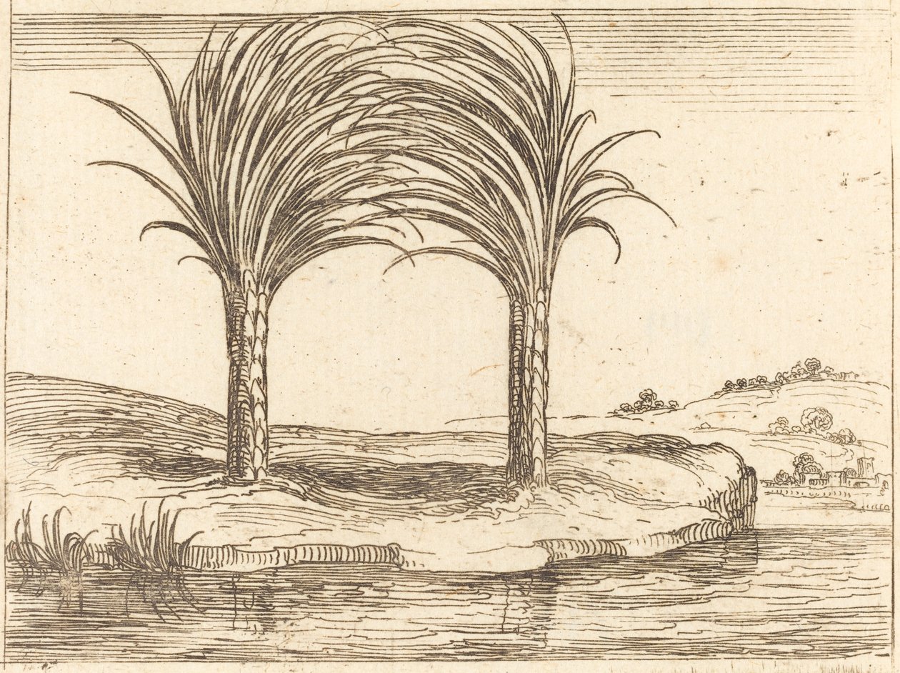 Due palme da Jacques Callot