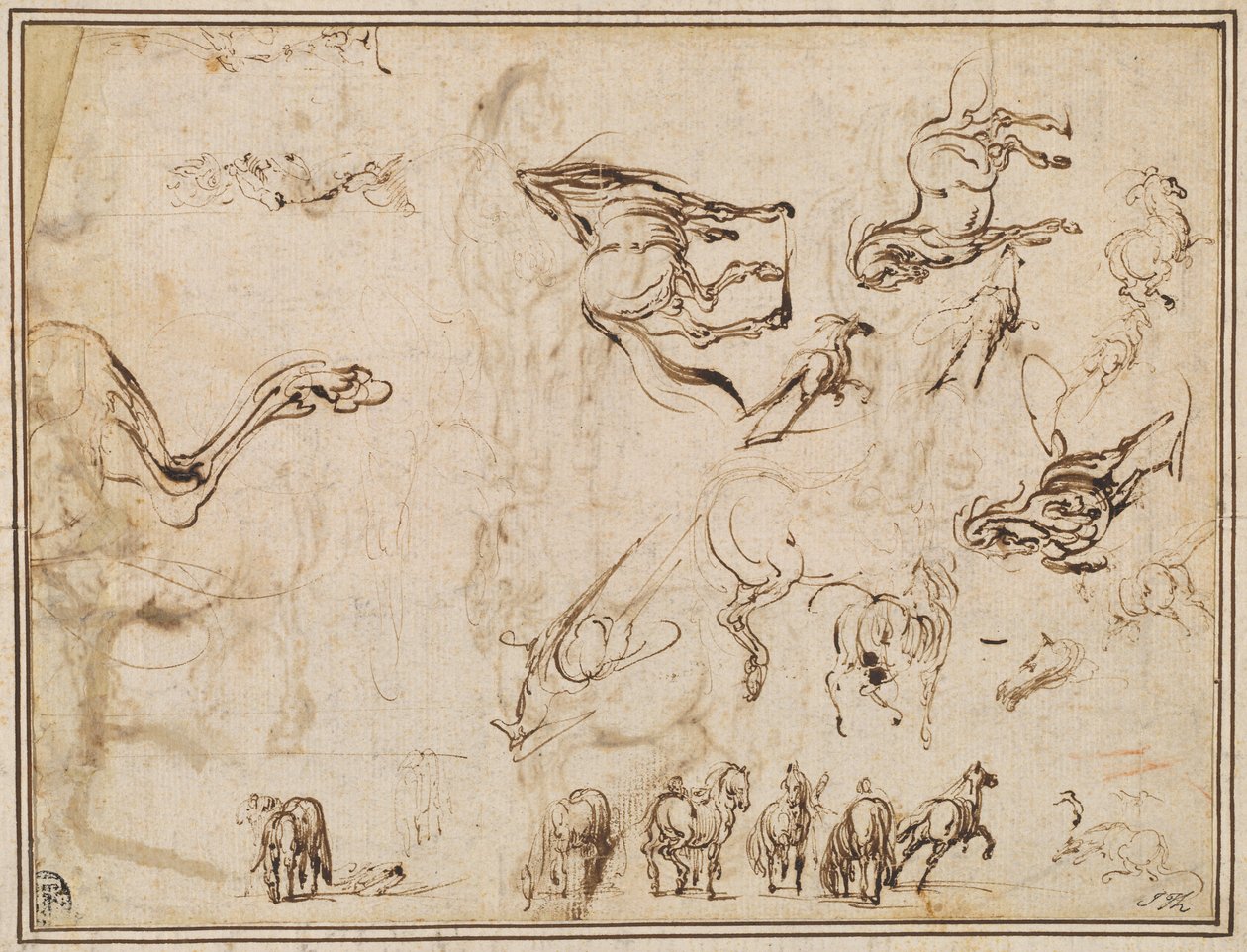 Studi di cavalli (verso) da Jacques Callot after Antonio Tempesta