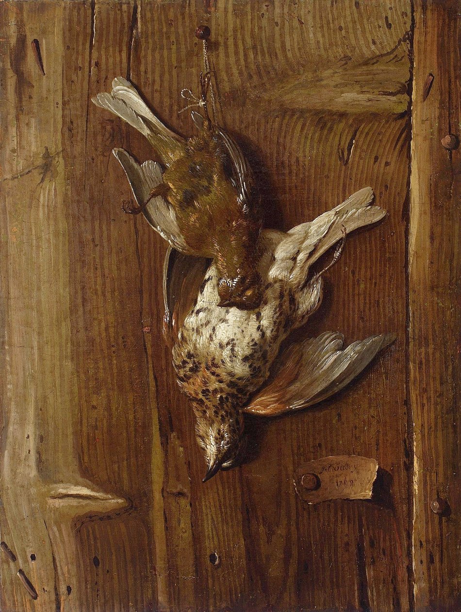 Uccelli morti (tordo e passeriformi) da Jacques Charles Oudry