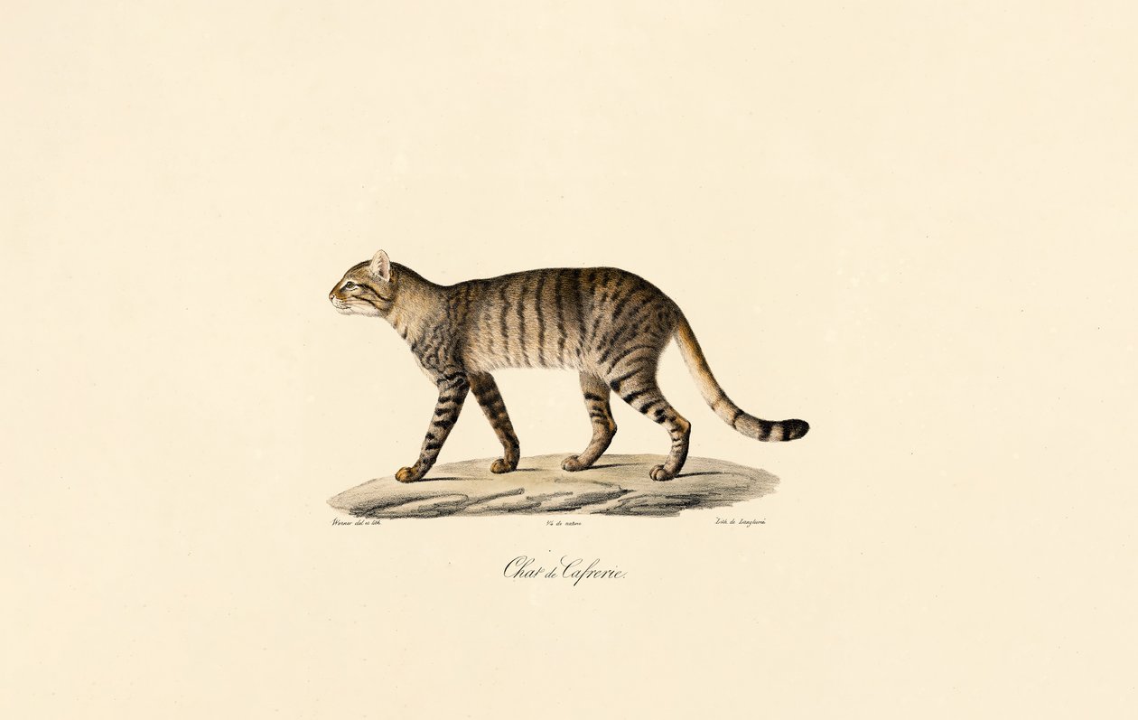  da Jacques Christophe Werner