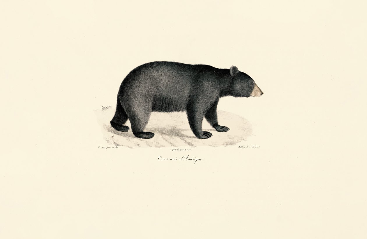  da Jacques Christophe Werner