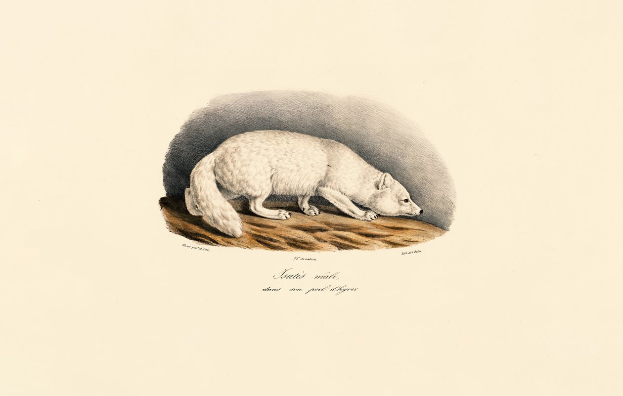  da Jacques Christophe Werner