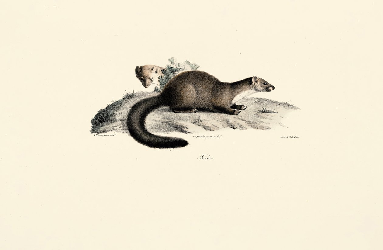  da Jacques Christophe Werner