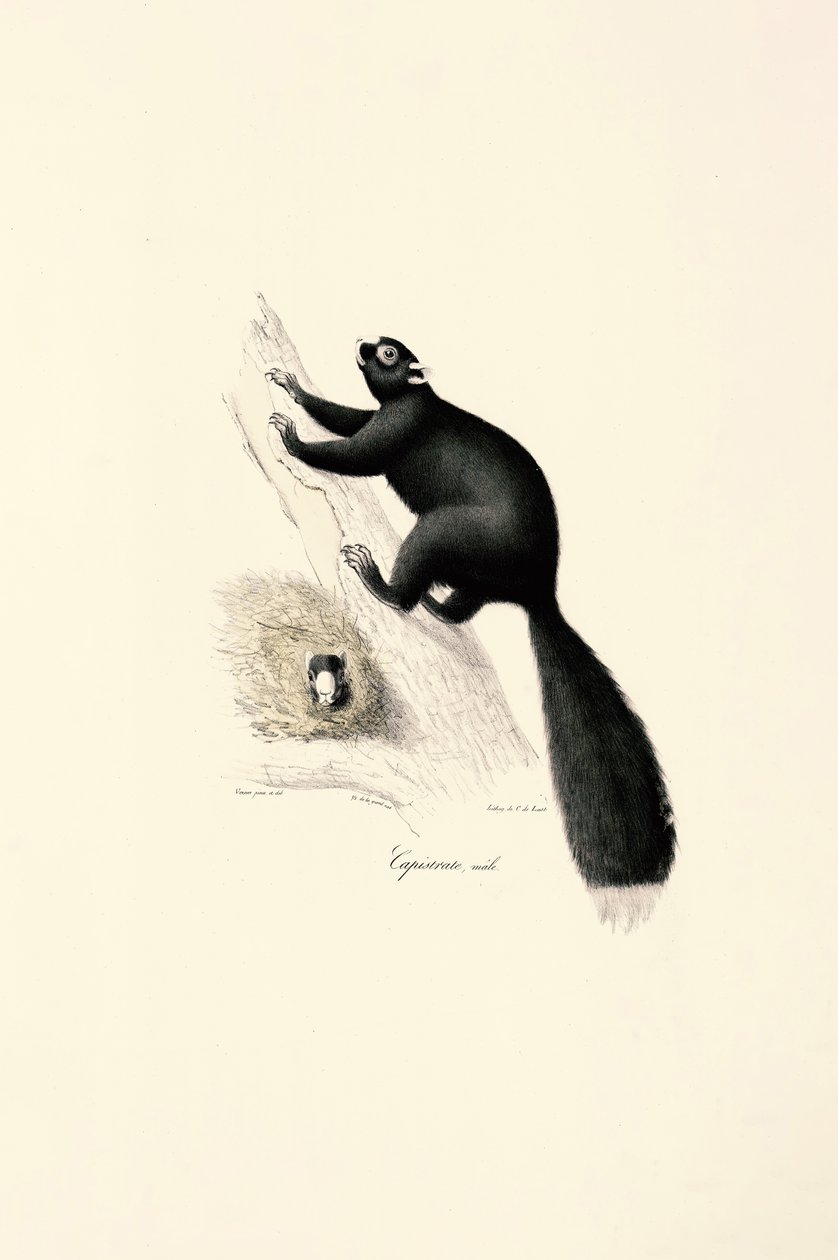  da Jacques Christophe Werner