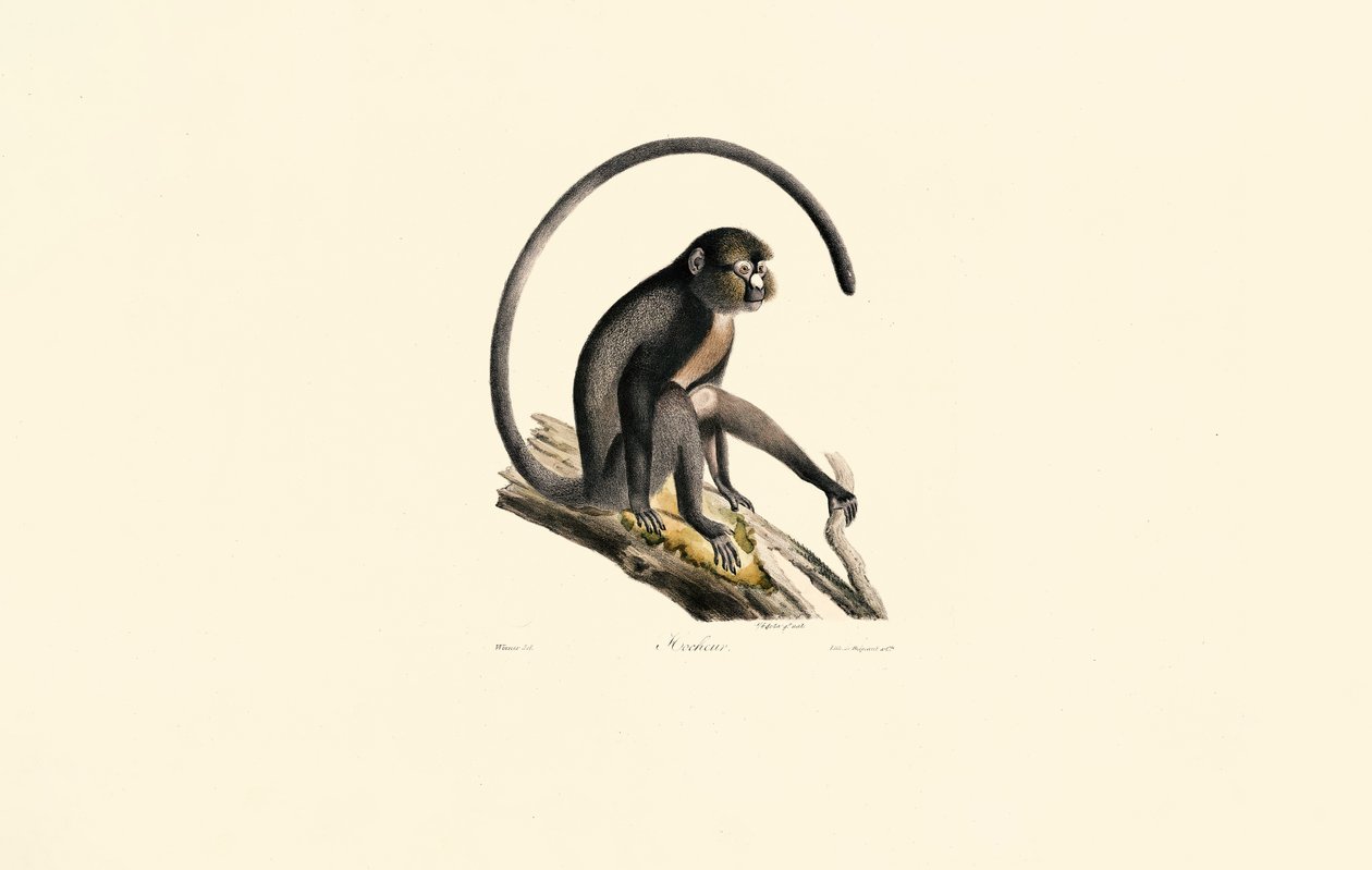 da Jacques Christophe Werner