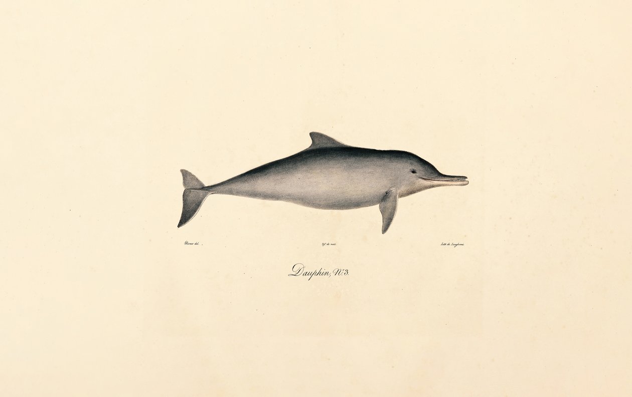  da Jacques Christophe Werner