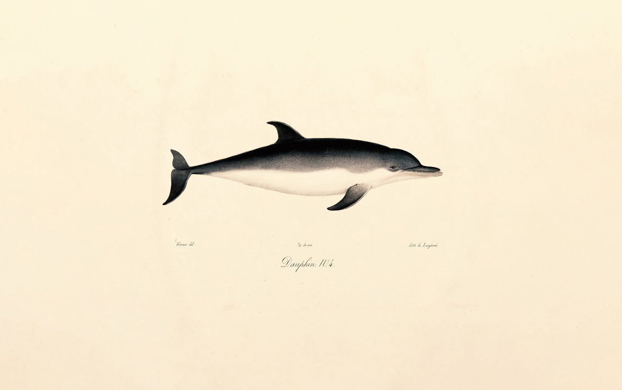  da Jacques Christophe Werner