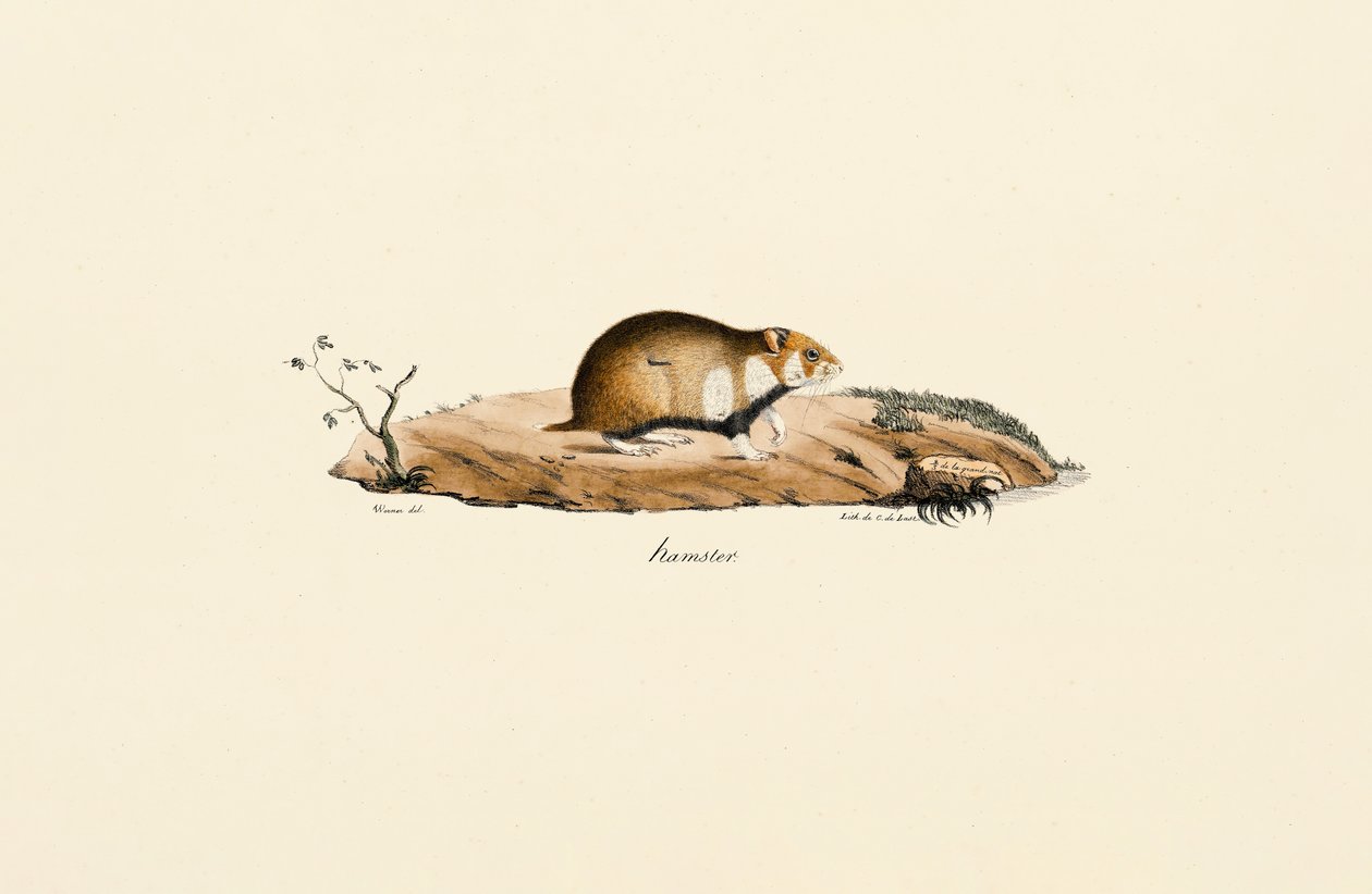  da Jacques Christophe Werner