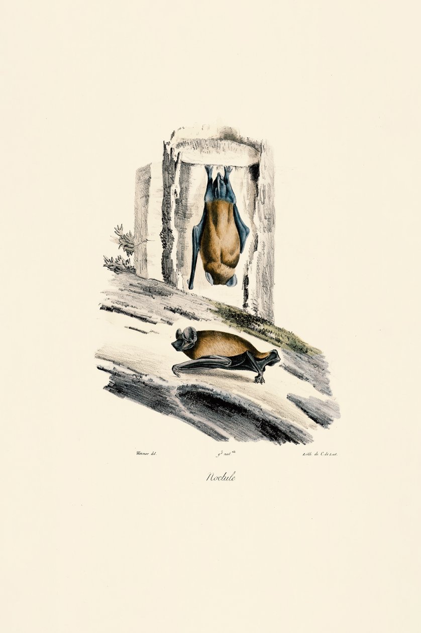  da Jacques Christophe Werner