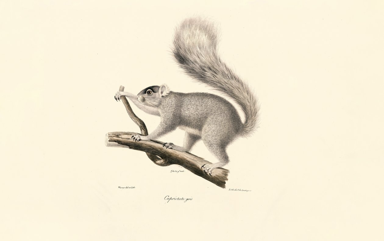  da Jacques Christophe Werner