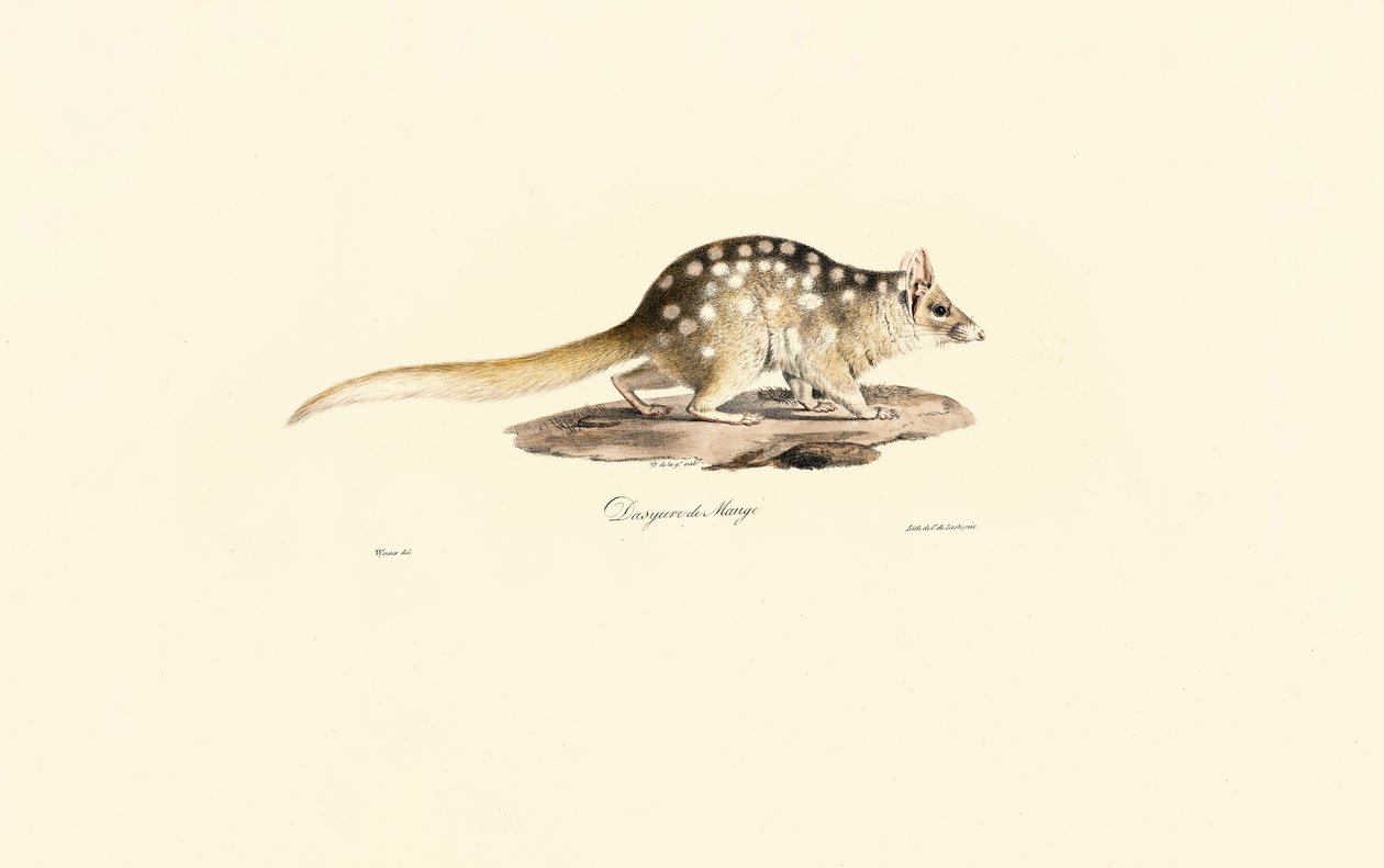  da Jacques Christophe Werner