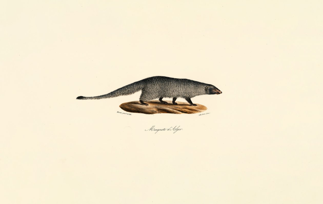  da Jacques Christophe Werner