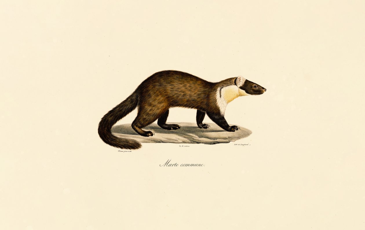  da Jacques Christophe Werner