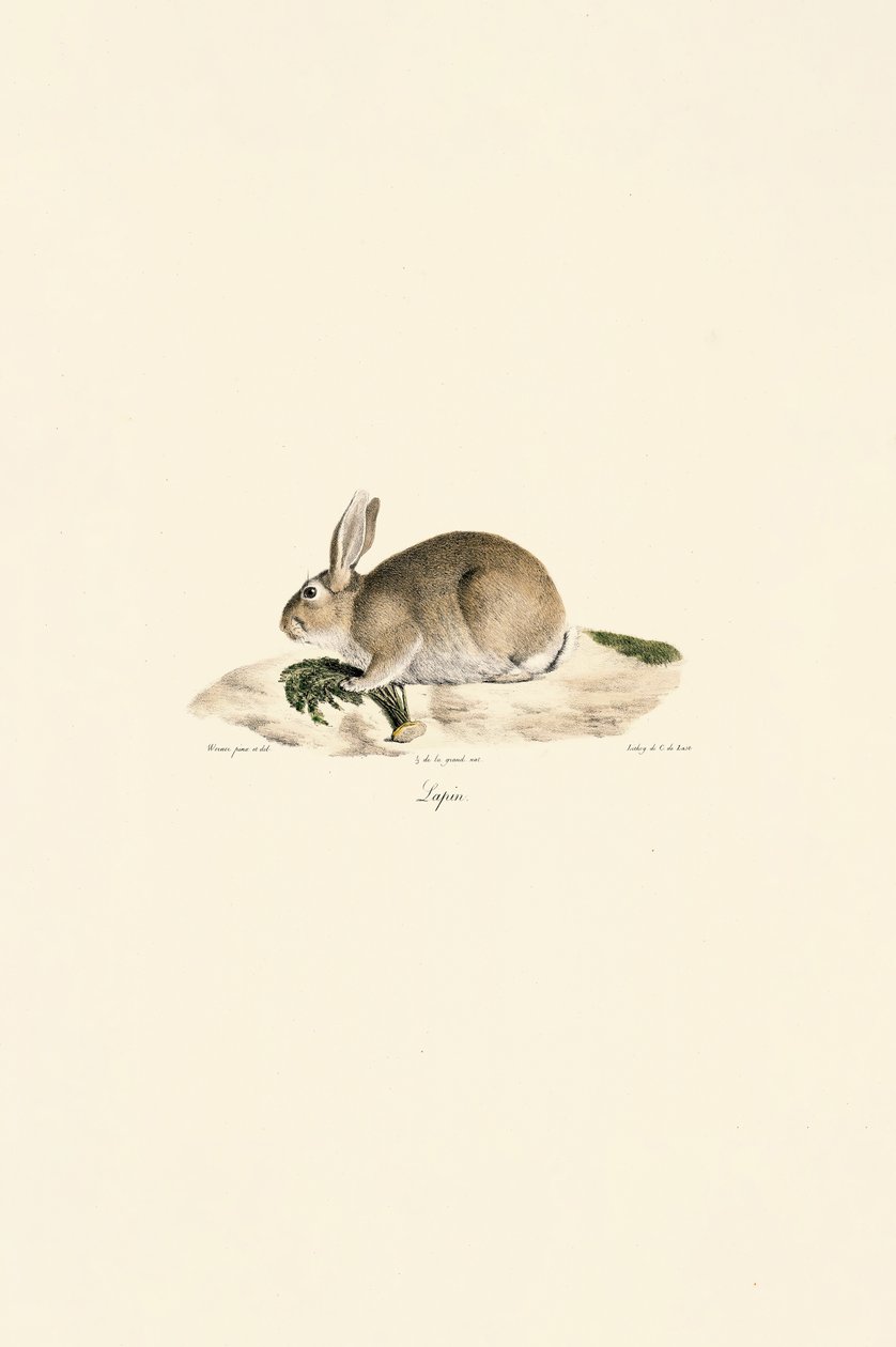  da Jacques Christophe Werner