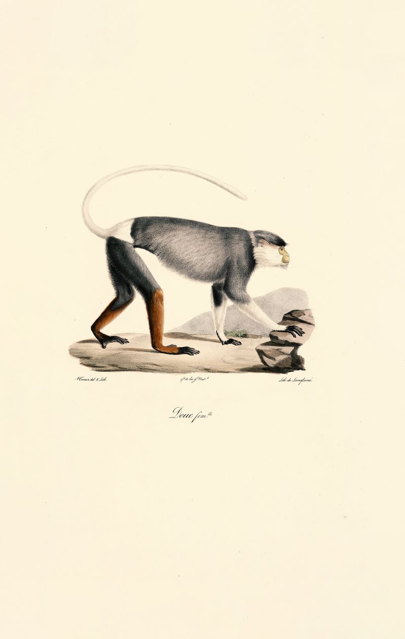  da Jacques Christophe Werner