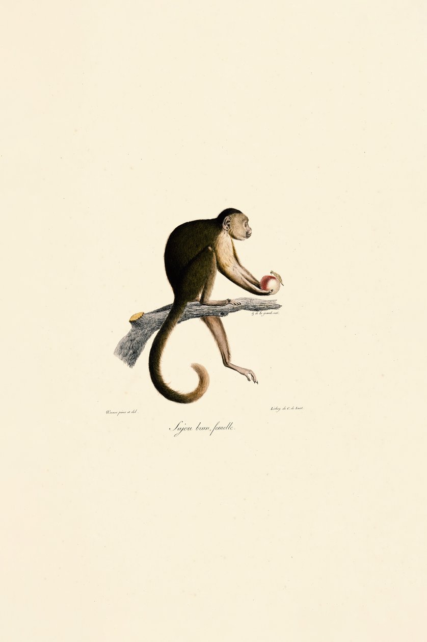  da Jacques Christophe Werner