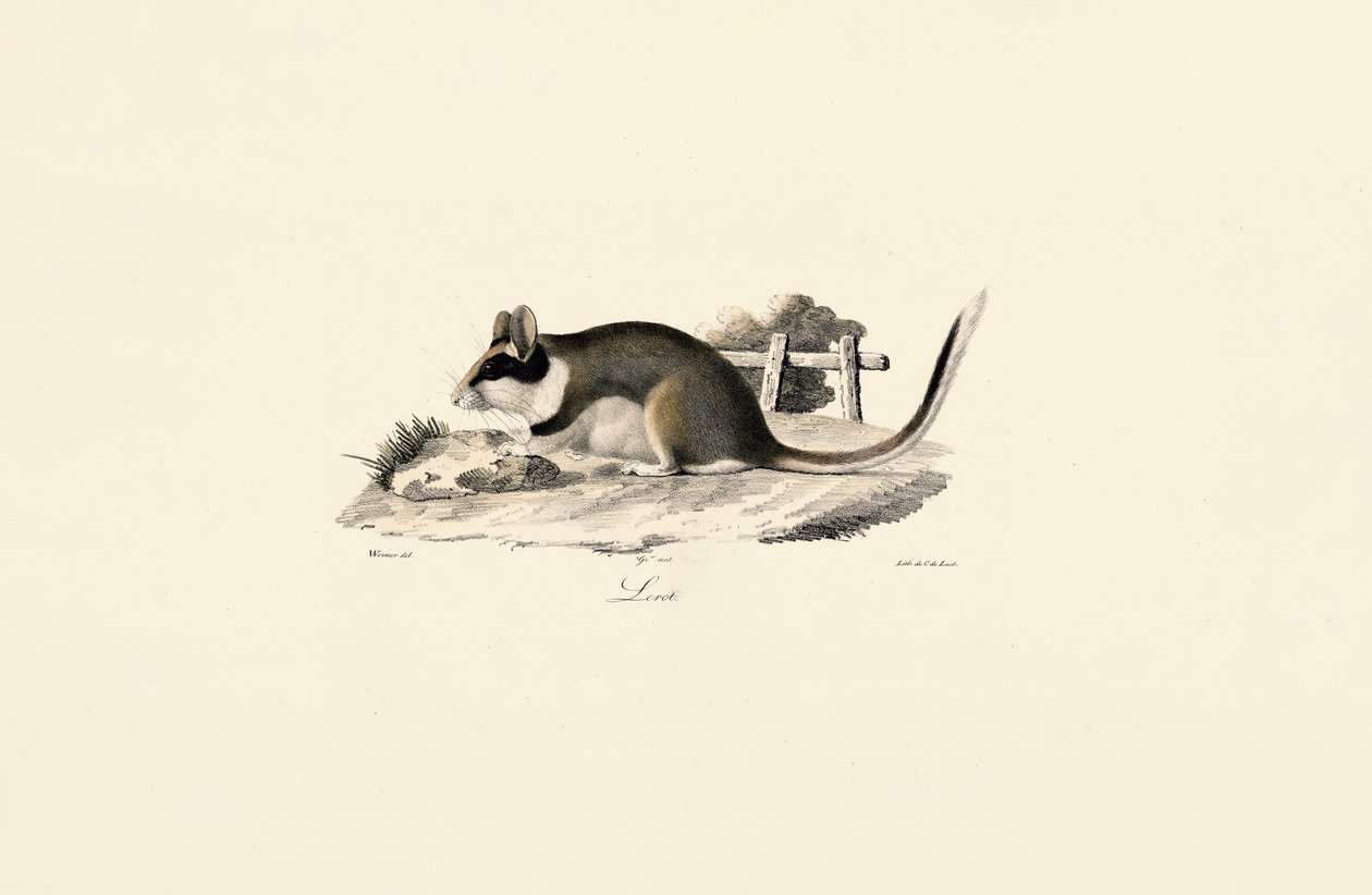  da Jacques Christophe Werner