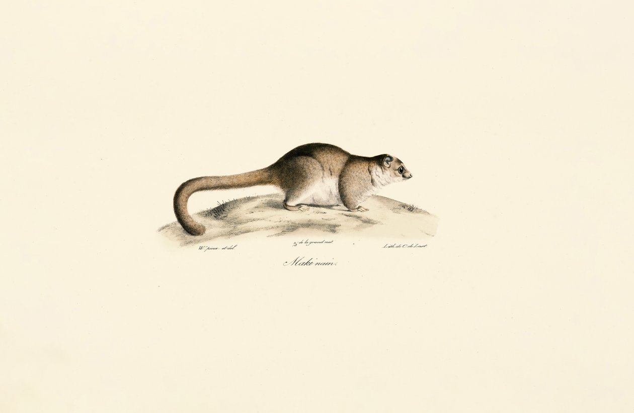  da Jacques Christophe Werner