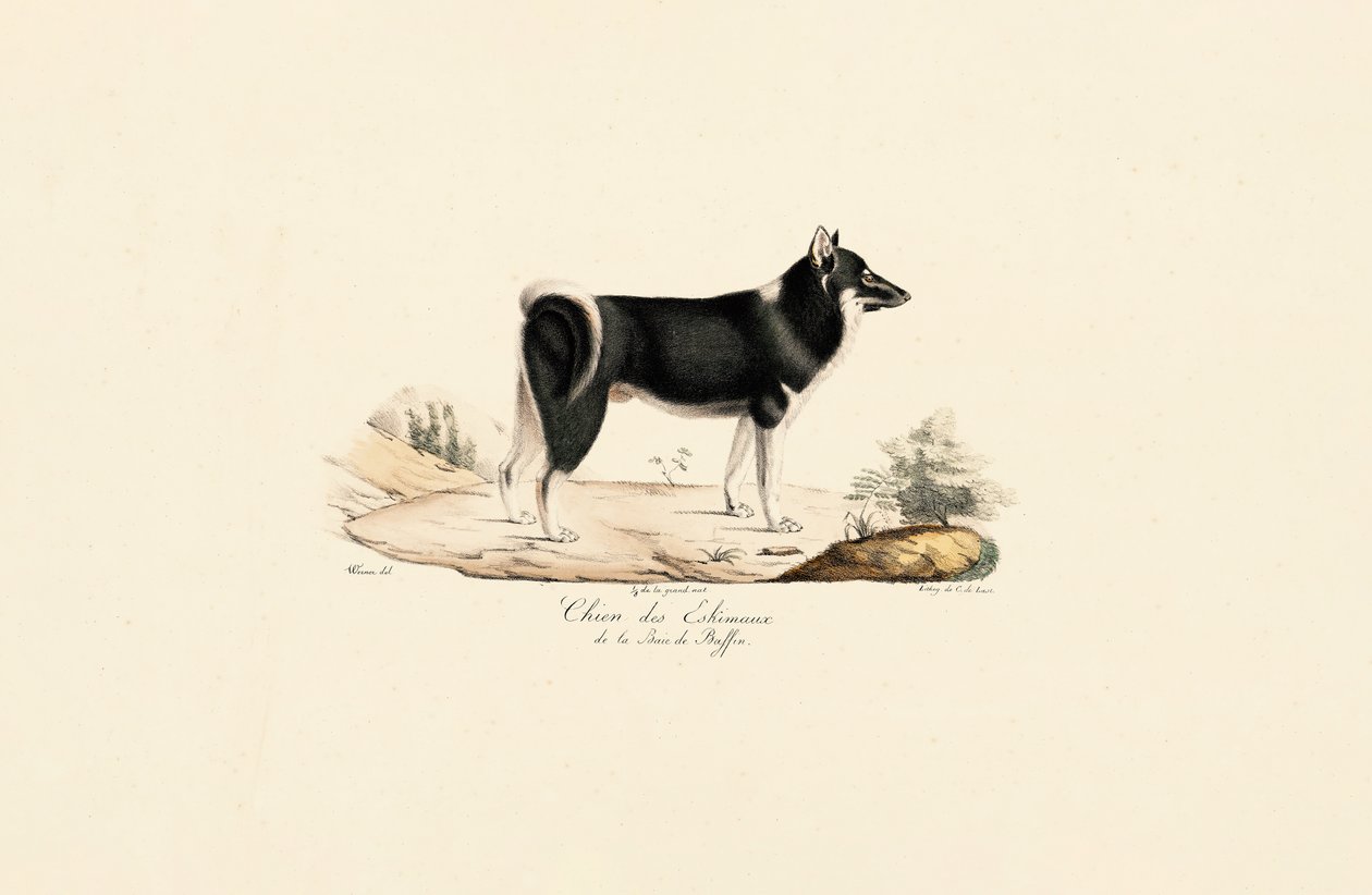  da Jacques Christophe Werner