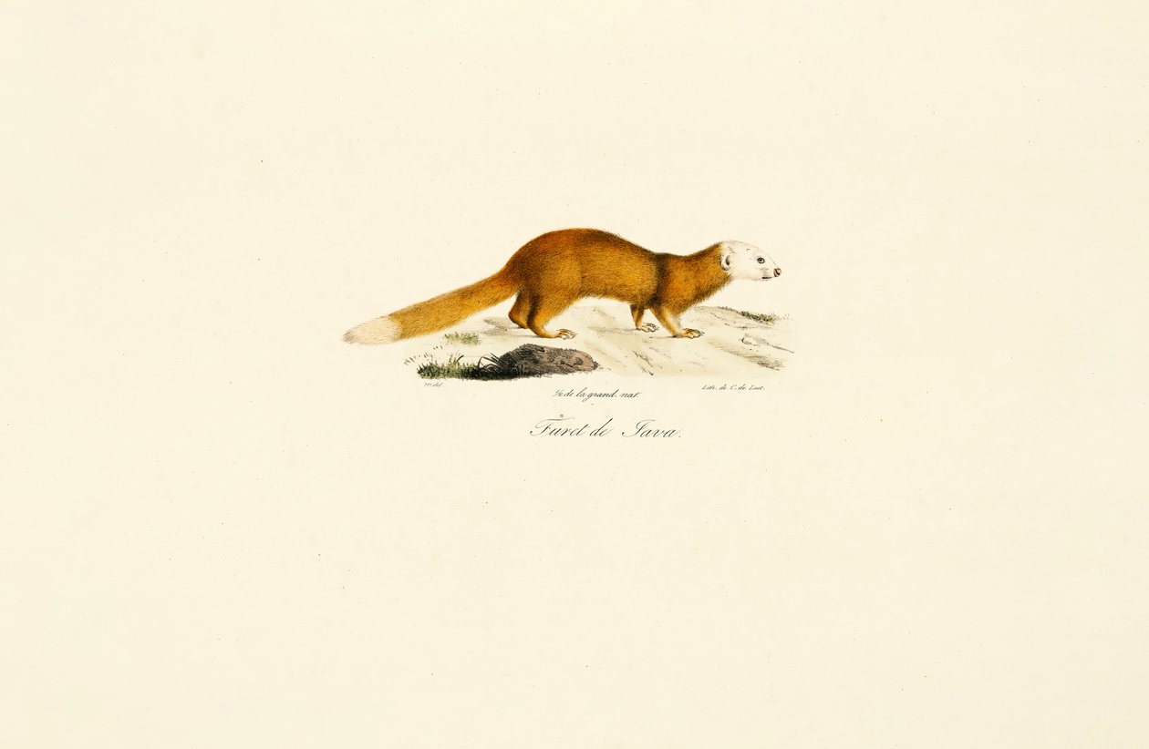  da Jacques Christophe Werner