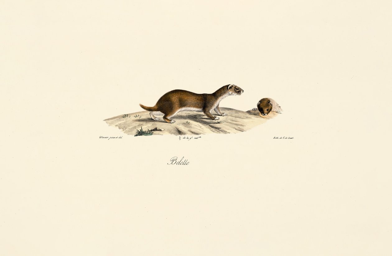  da Jacques Christophe Werner