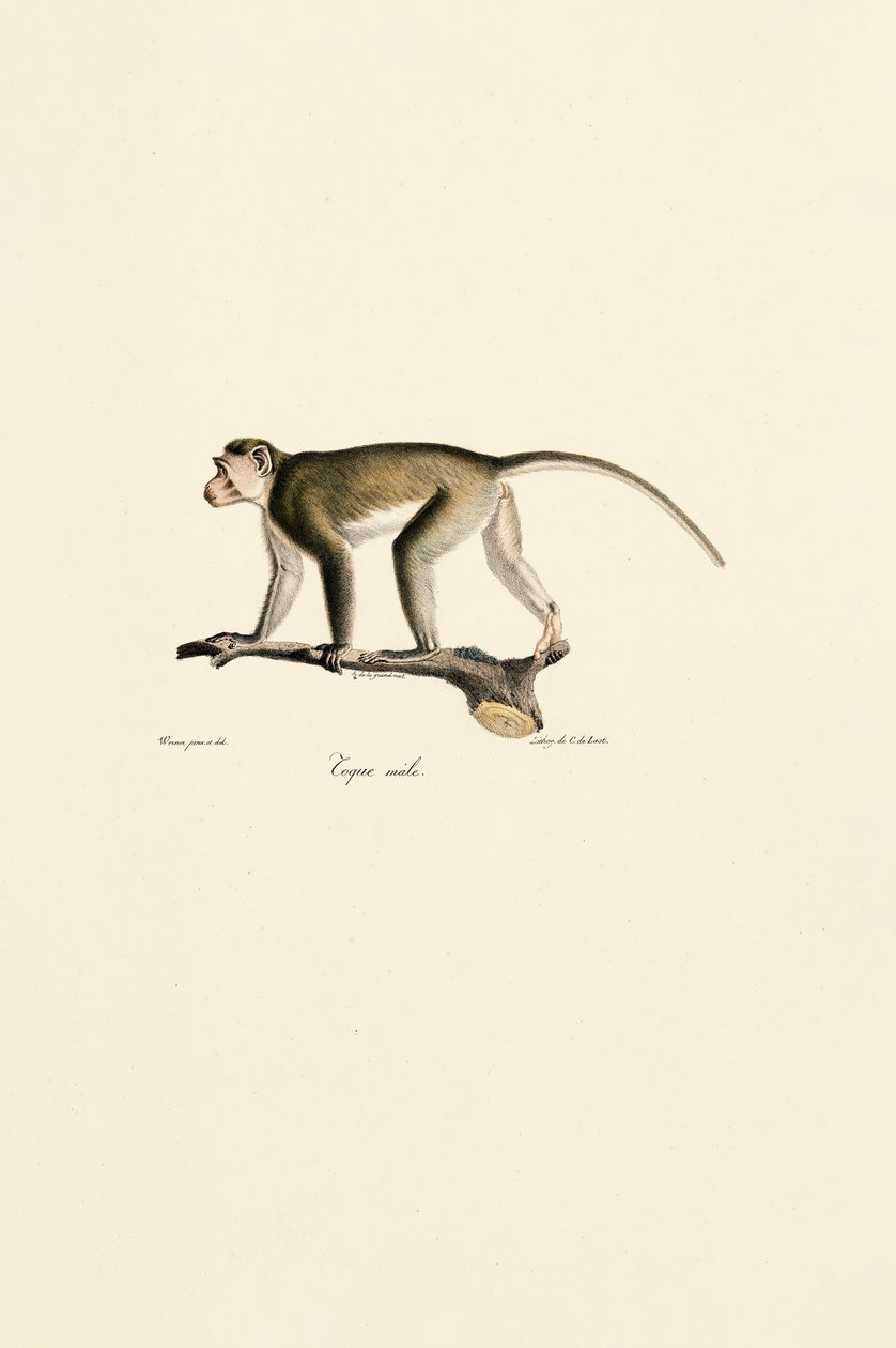  da Jacques Christophe Werner
