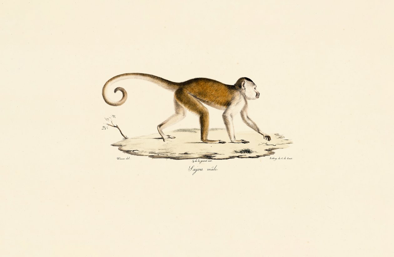  da Jacques Christophe Werner